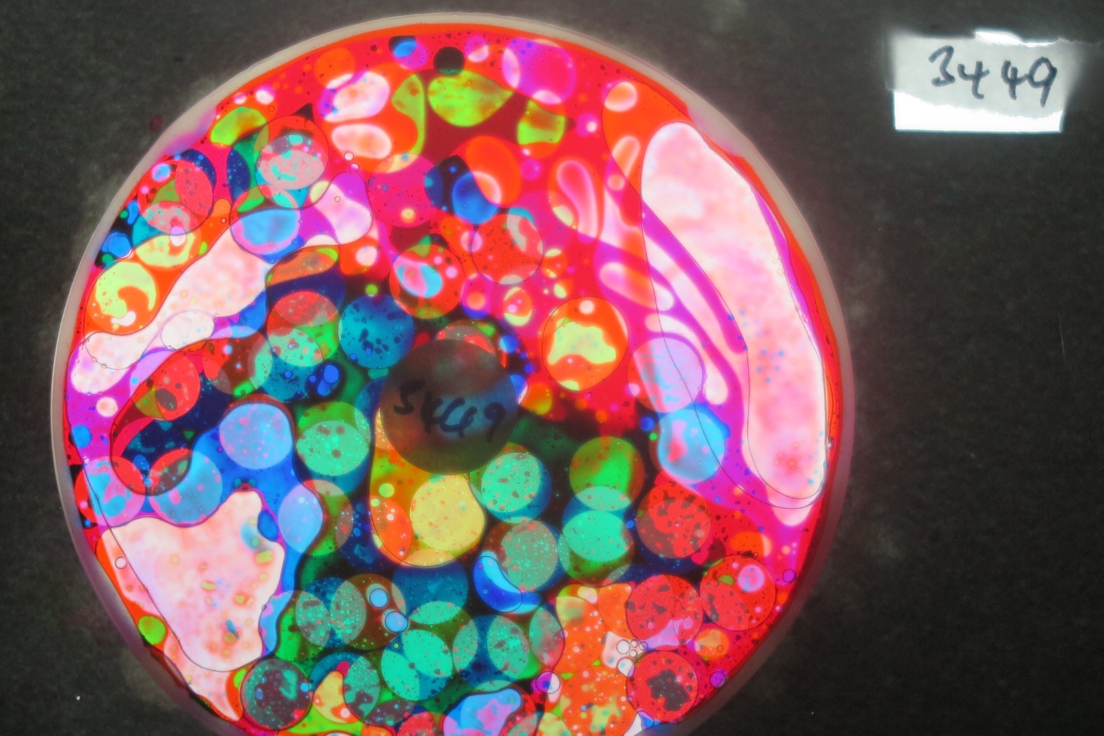 BV3449 bubble vision oil wheel